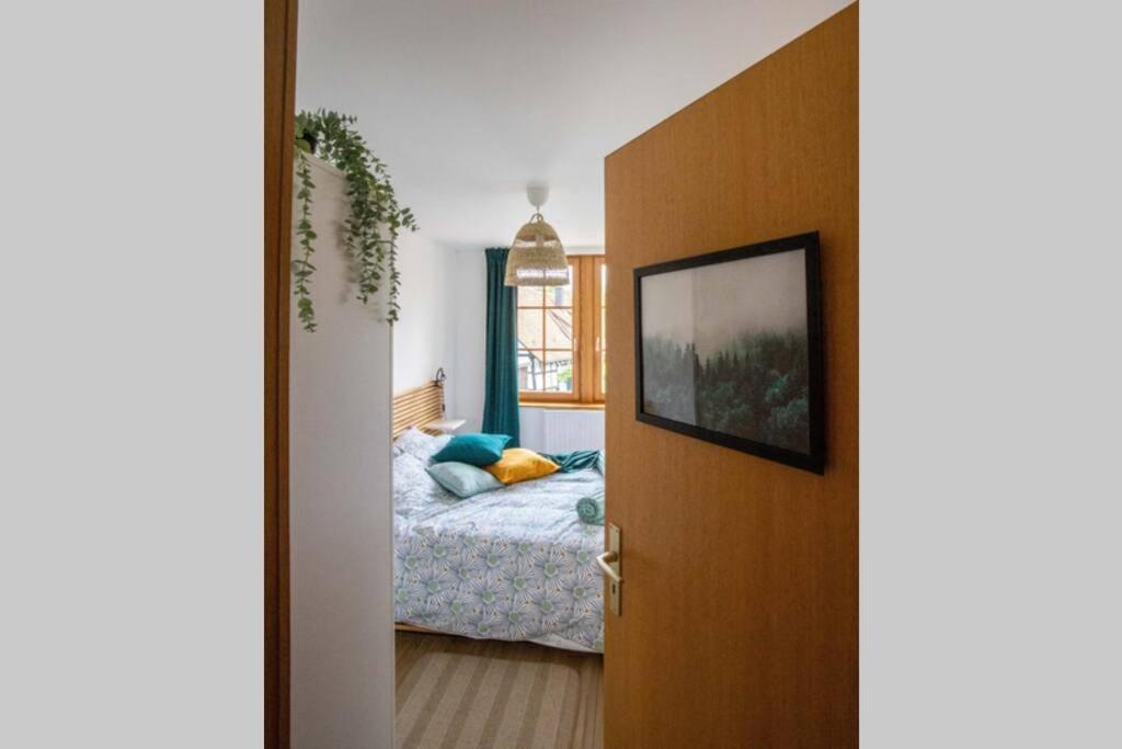 Charming Apartment Basel Border - 3 Bedrooms Hegenheim Eksteriør bilde