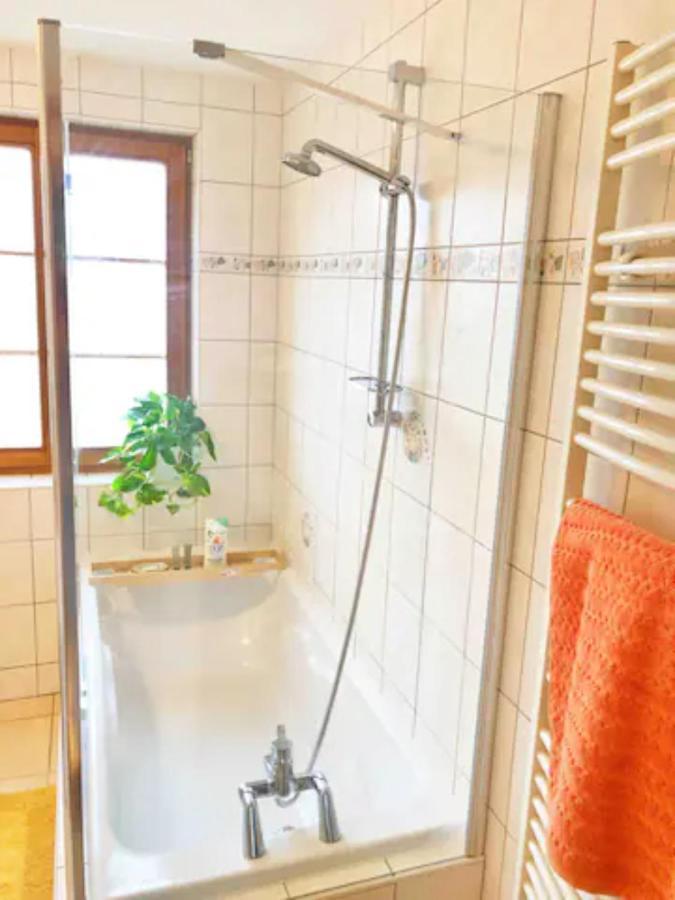 Charming Apartment Basel Border - 3 Bedrooms Hegenheim Eksteriør bilde