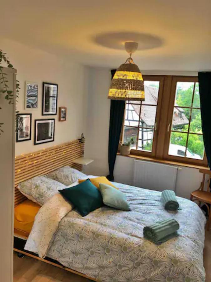 Charming Apartment Basel Border - 3 Bedrooms Hegenheim Eksteriør bilde